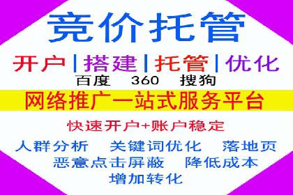 大型企业SEM外包实战案例